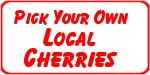 PYO Cherries